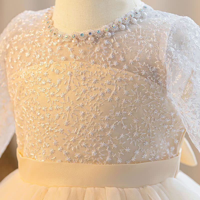 Embroidery Mesh Piping Long Sleeve Midi Dresses - image 4