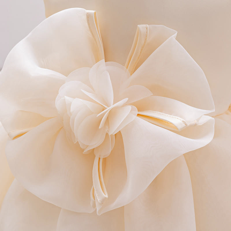 Organza Rosette Cap Sleeve Midi Dresses - image 18