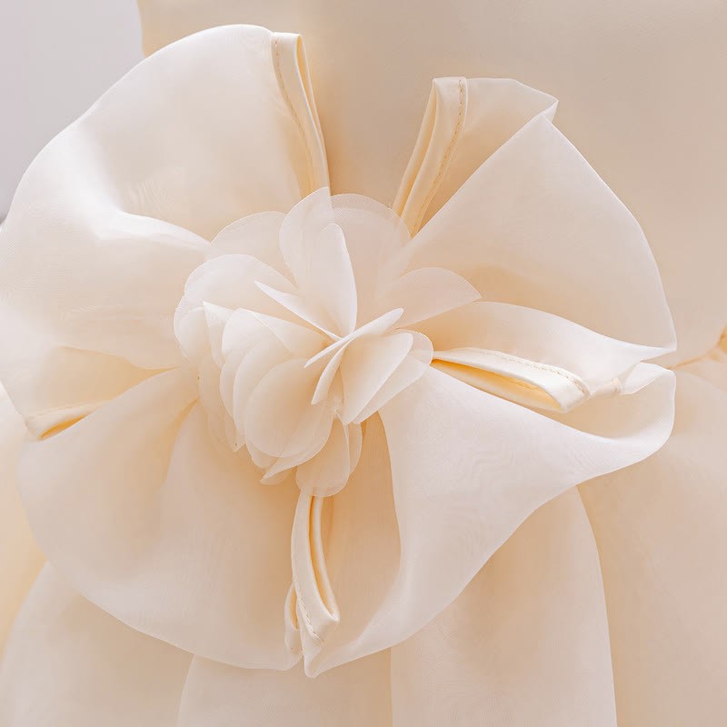 Organza Rosette Cap Sleeve Midi Dresses - image 18