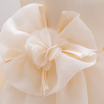 Organza Rosette Cap Sleeve Midi Dresses - image 18