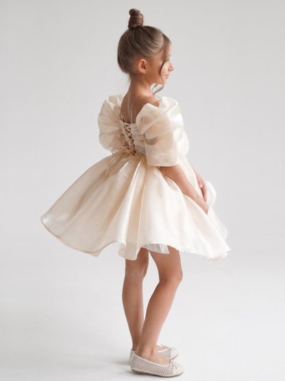 Organza Gathered Sleeveless Short Dresses - image 3