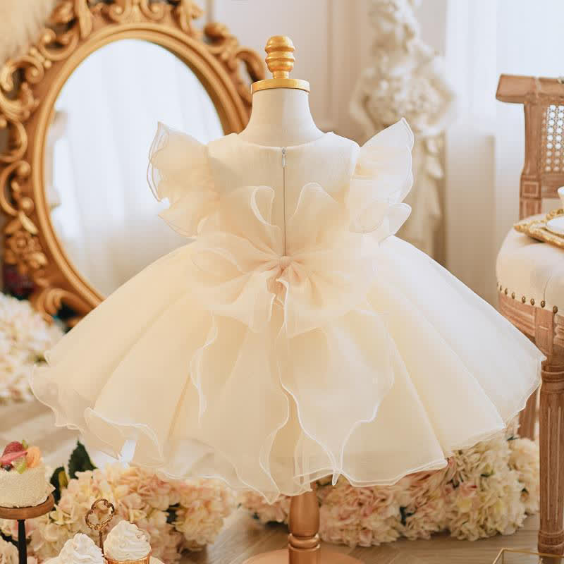 Organza Applique Short Sleeves Midi Dresses - image 3