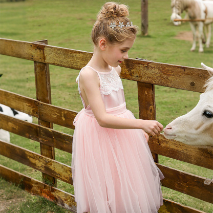 Mesh Lace Bow Lace Sleeveless Mid-long Dresses - image 4