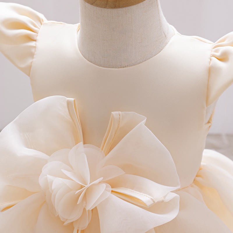 Organza Rosette Cap Sleeve Midi Dresses - image 17
