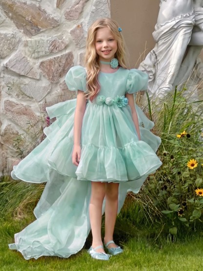 Organza Bow Short Sleeve Short Dresses - image 7