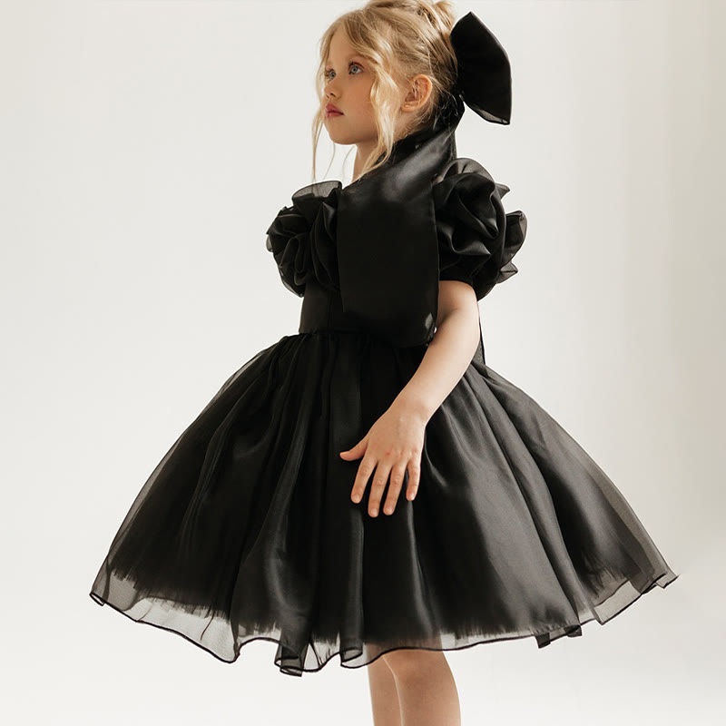 Organza Rosette Sleeveless Midi Dresses - image 5