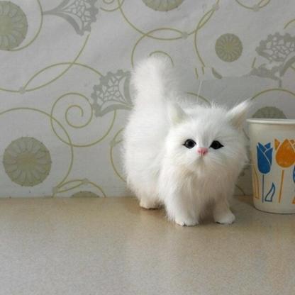 Stuffed Cat Sound Plush