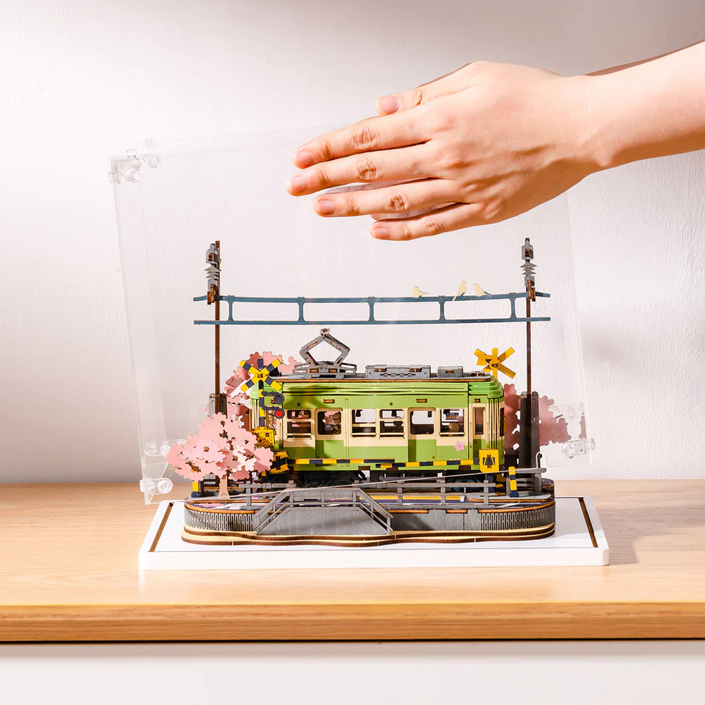 Creation Set Display Box