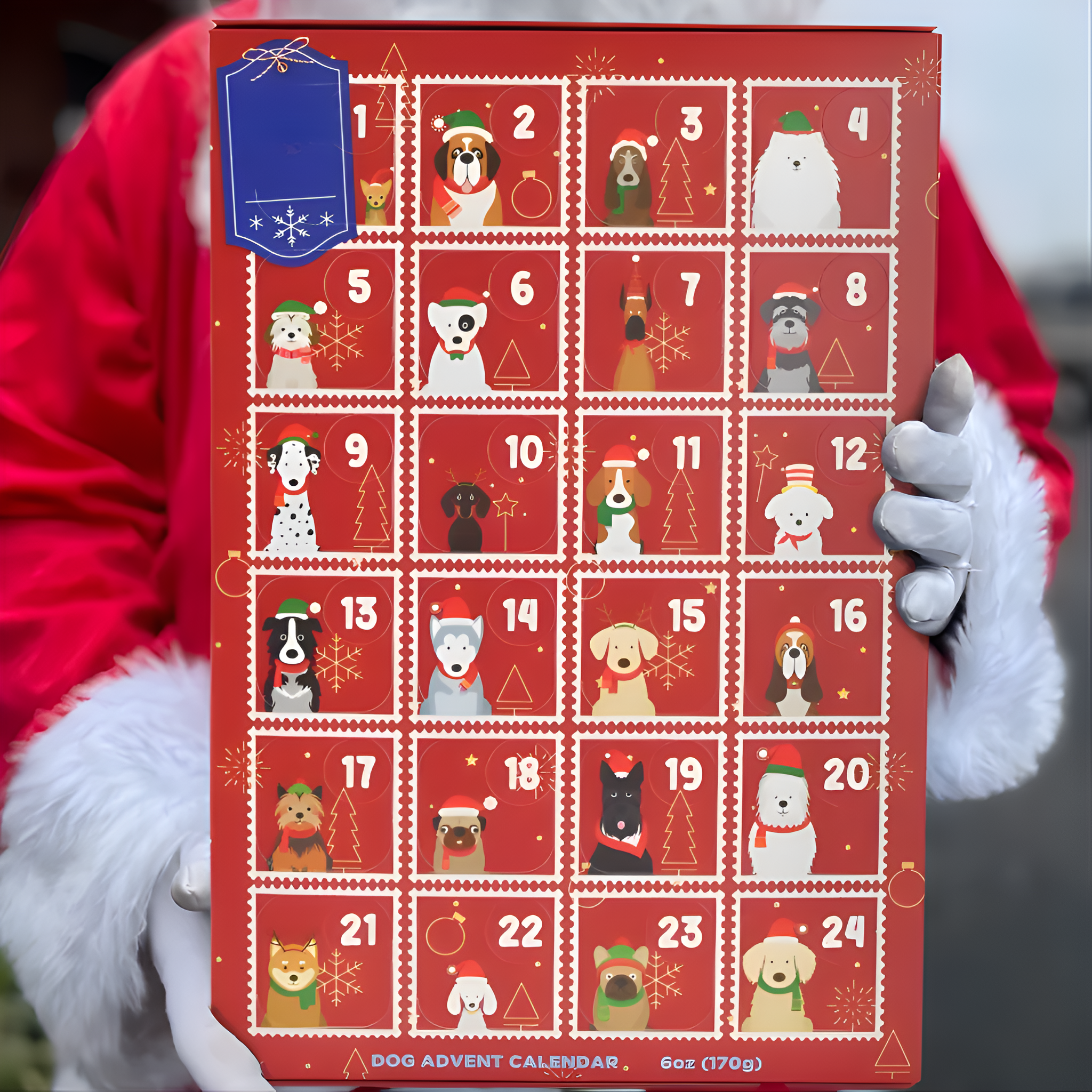 Holiday Dog Treat Advent Calendar
