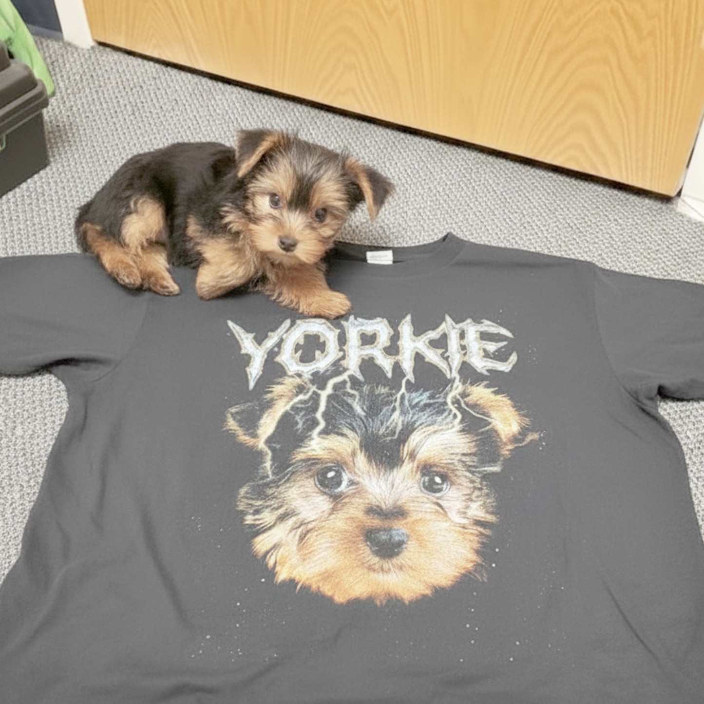 Calico Cat Vintage Graphic T-Shirt – Retro Custom Pet Shirt by Azaleaagift