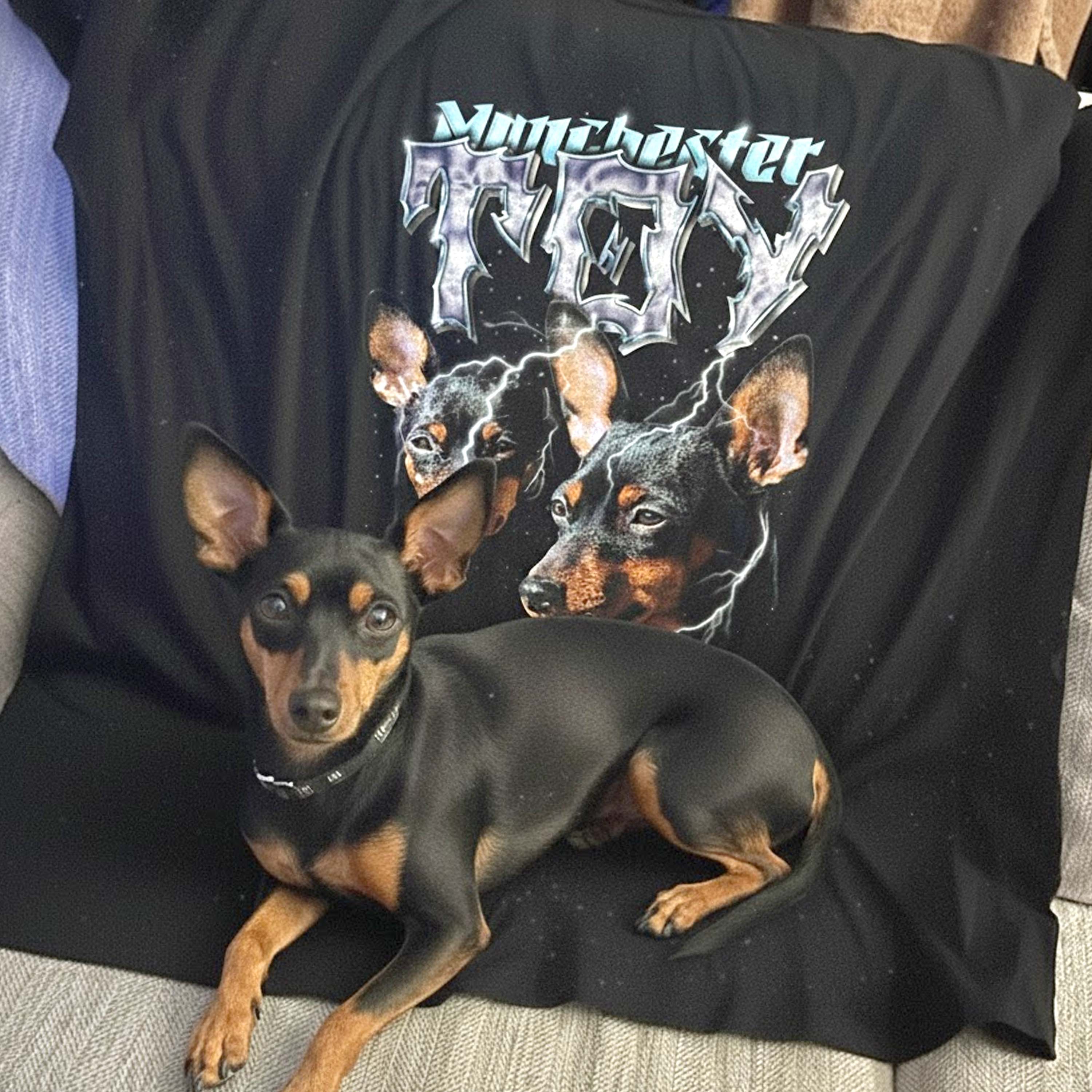 Calico Cat Vintage Graphic T-Shirt – Retro Custom Pet Shirt by Azaleaagift