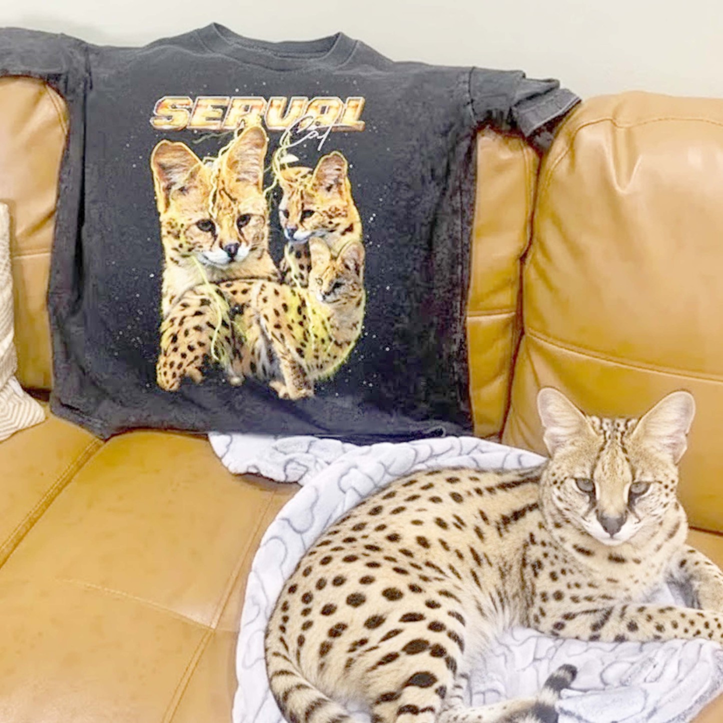 SERVAL VINTAGE SHIRT CUSTOM - PET CUSTOM SHIRT