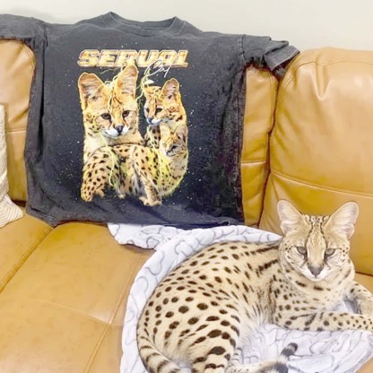 SERVAL VINTAGE SHIRT CUSTOM - PET CUSTOM SHIRT