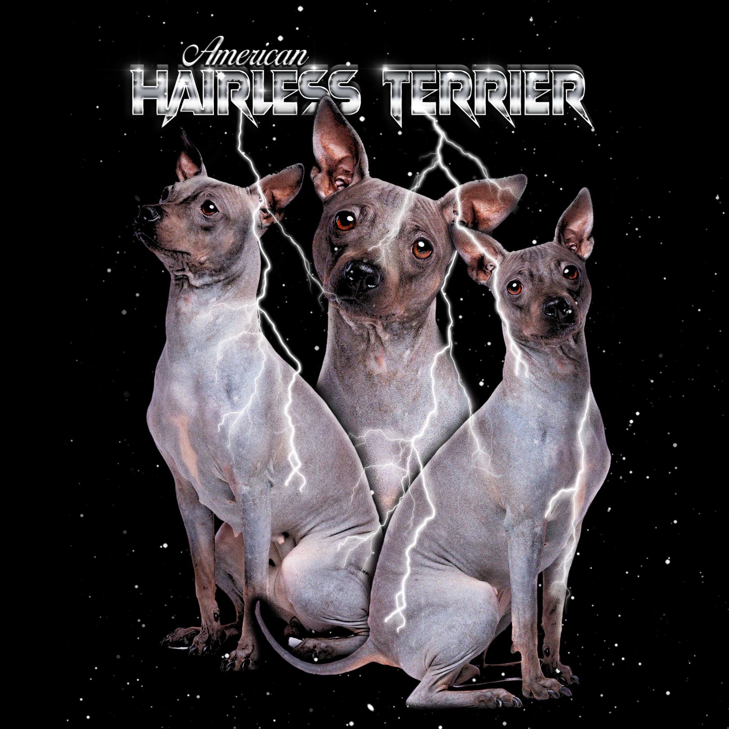 AMERICAN HAIRLESS TERRIER VINTAGE SHIRT CUSTOM - PET CUSTOM SHIRT