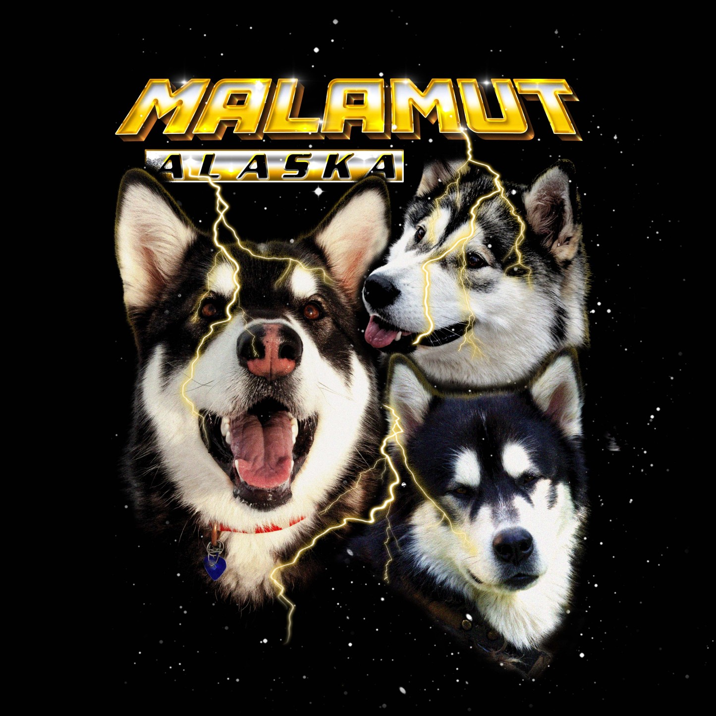 MALAMUT ALASKA VINTAGE SHIRT CUSTOM - PET CUSTOM SHIRT