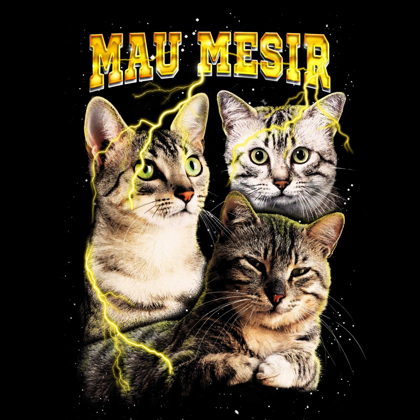 MAU MESIR VINTAGE SHIRT CUSTOM - PET CUSTOM SHIRT