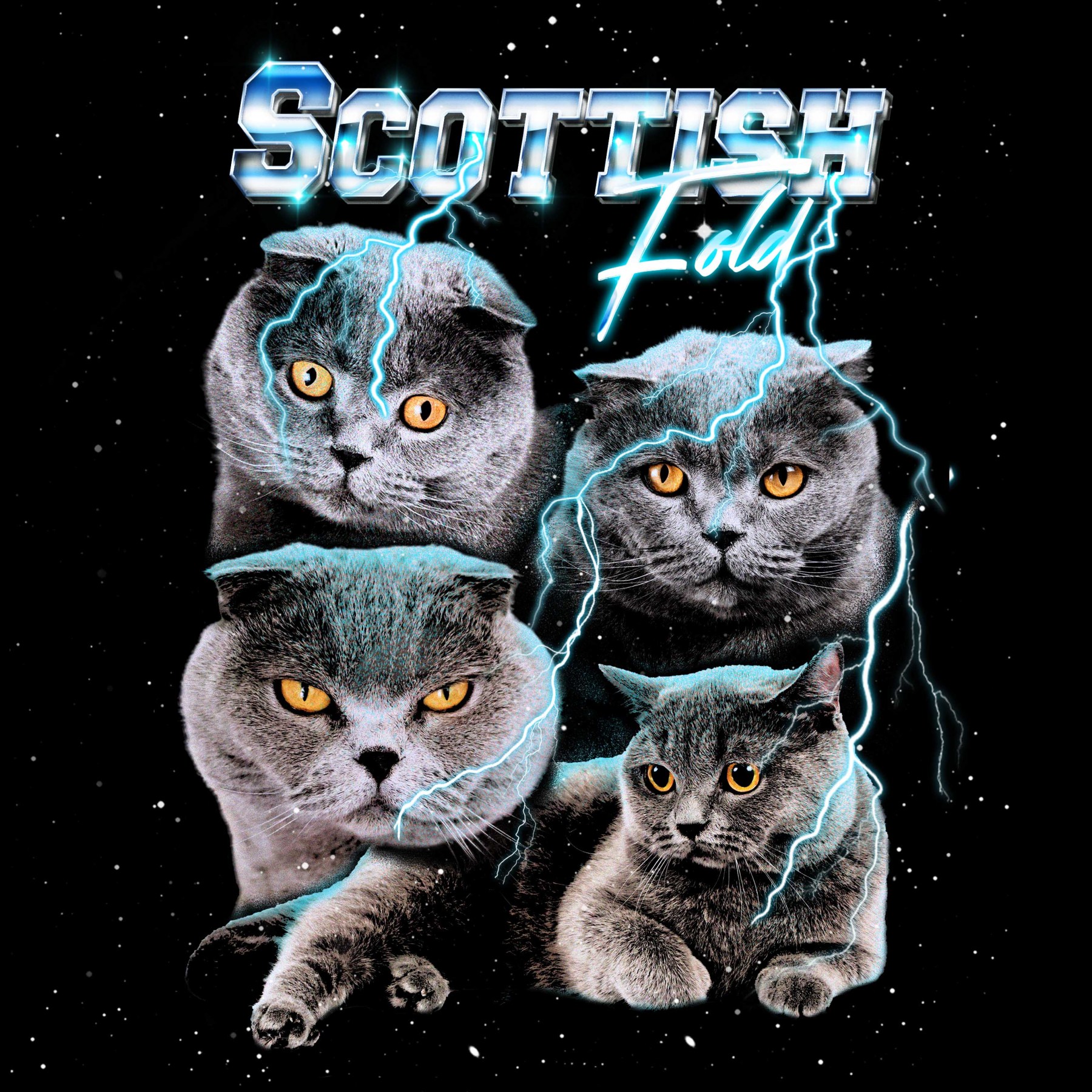 SCOTTISH FOLD VINTAGE SHIRT CUSTOM - PET CUSTOM SHIRT