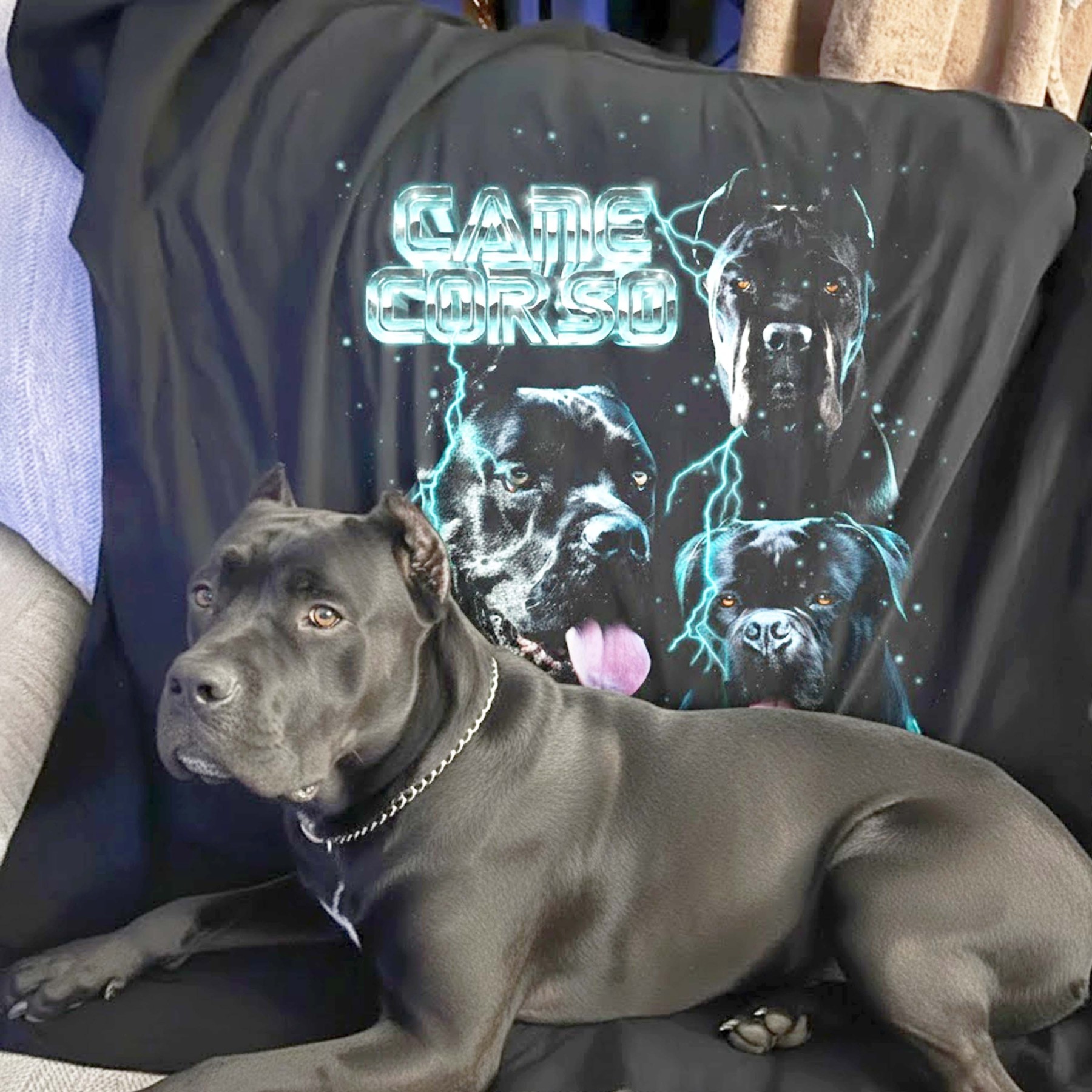 Calico Cat Vintage Graphic T-Shirt – Retro Custom Pet Shirt by Azaleaagift