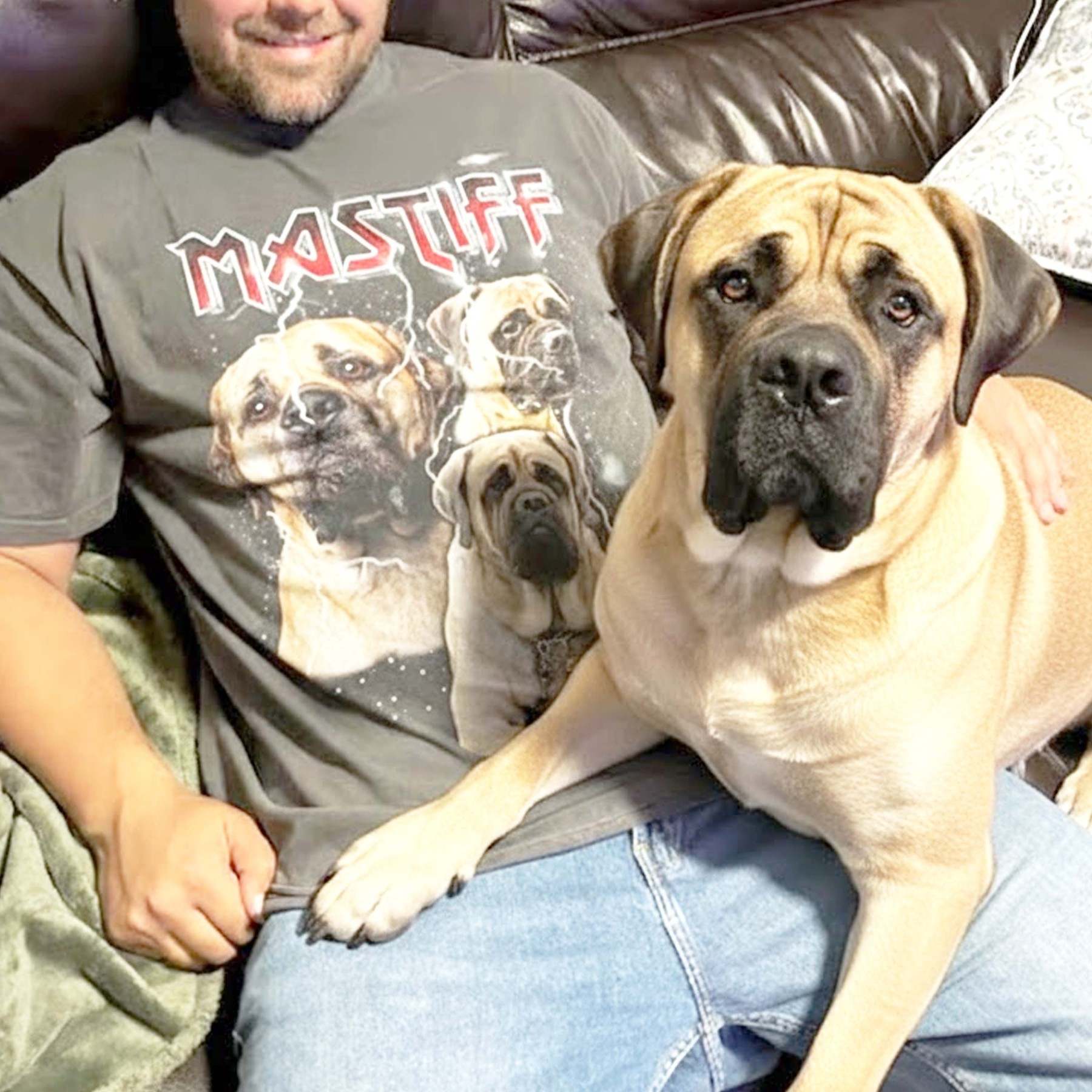 MASTIFF VINTAGE SHIRT CUSTOM - PET CUSTOM SHIRT