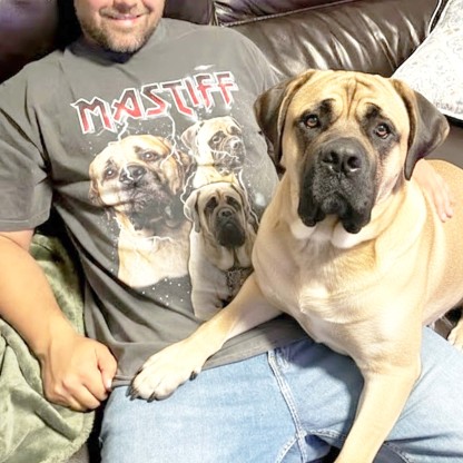 MASTIFF VINTAGE SHIRT CUSTOM - PET CUSTOM SHIRT