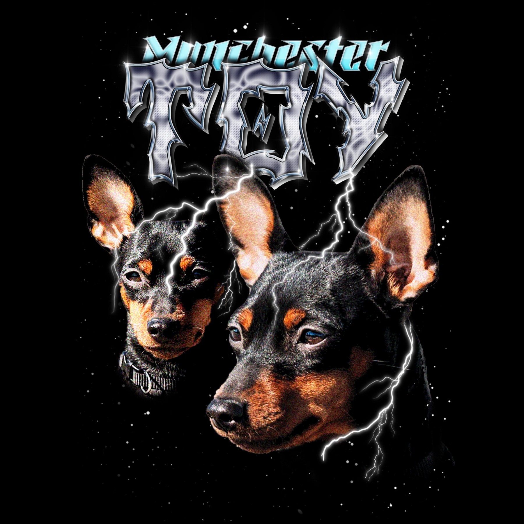 TOY VINTAGE SHIRT CUSTOM - PET CUSTOM SHIRT