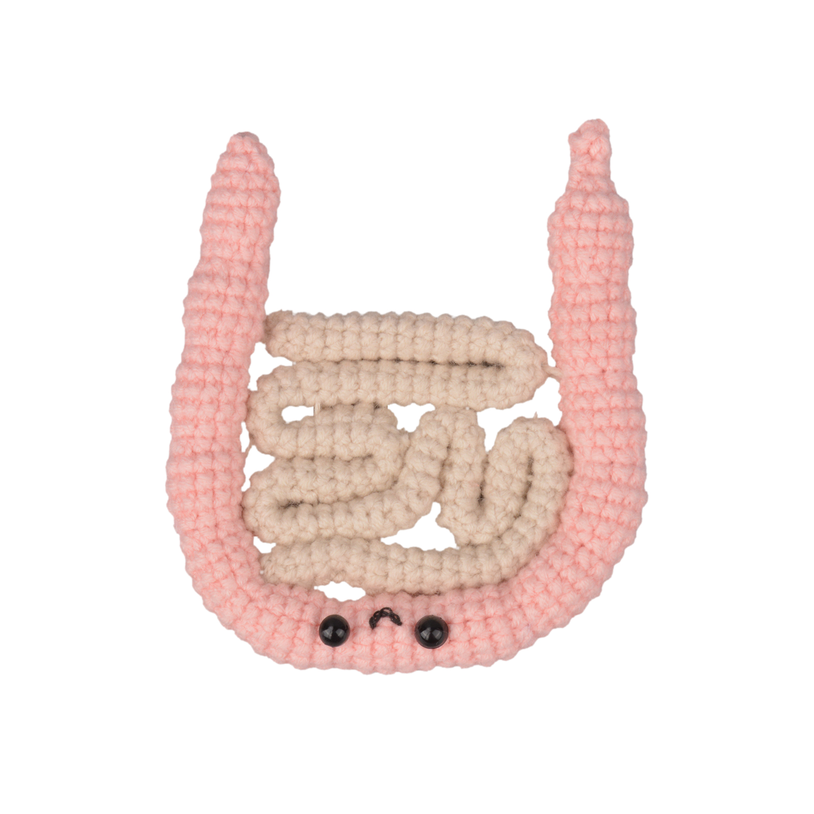 Soft Plush Guts Model Showing Colon Details