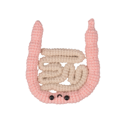 Soft Plush Guts Model Showing Colon Details