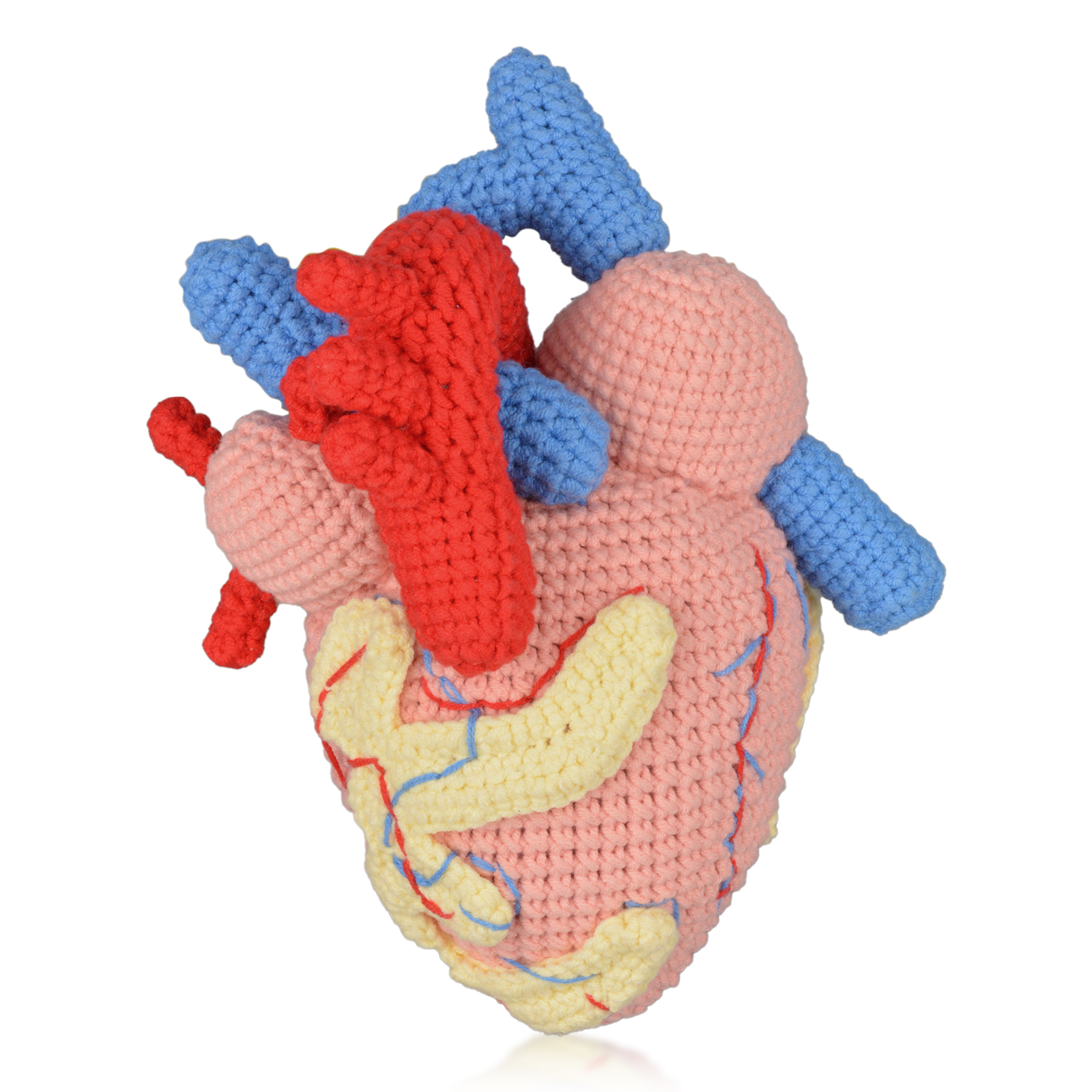 Handmade Anatomical Heart Plush For Anatomy Learning