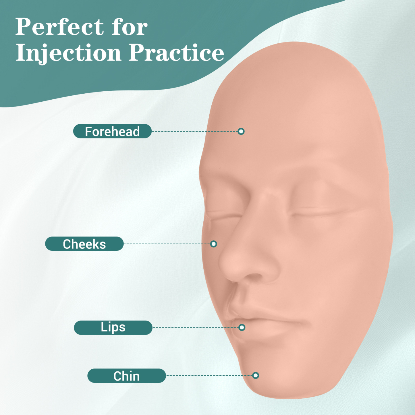 Facial Injection Training Model Injection Sites Detail
