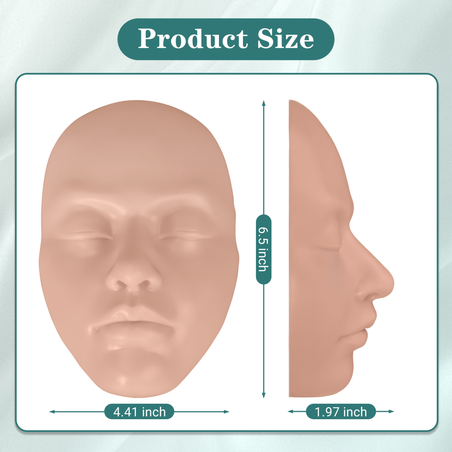 Facial Injection Mannequin Size Reference