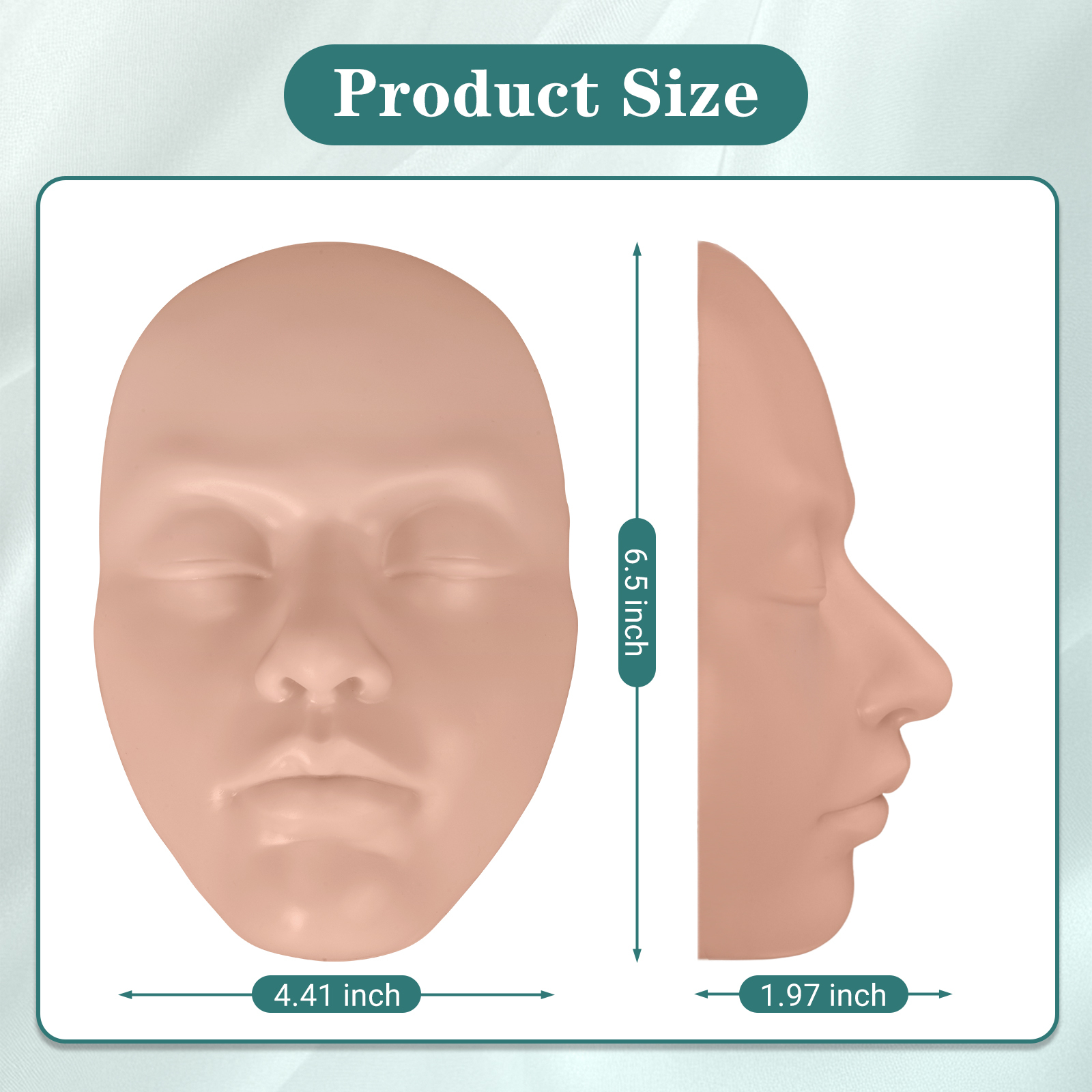 Facial Injection Mannequin Size Reference