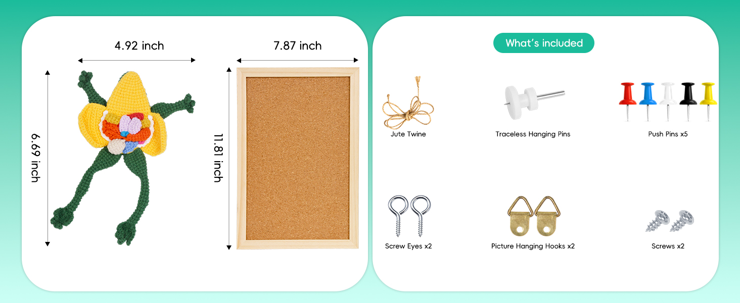 Skillssist Anatomy Frog Kit Contents and Dimensions Overview