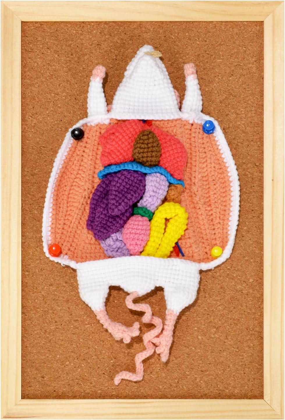 Child-Friendly Crochet Rat Anatomy Model For Kids Medical Education