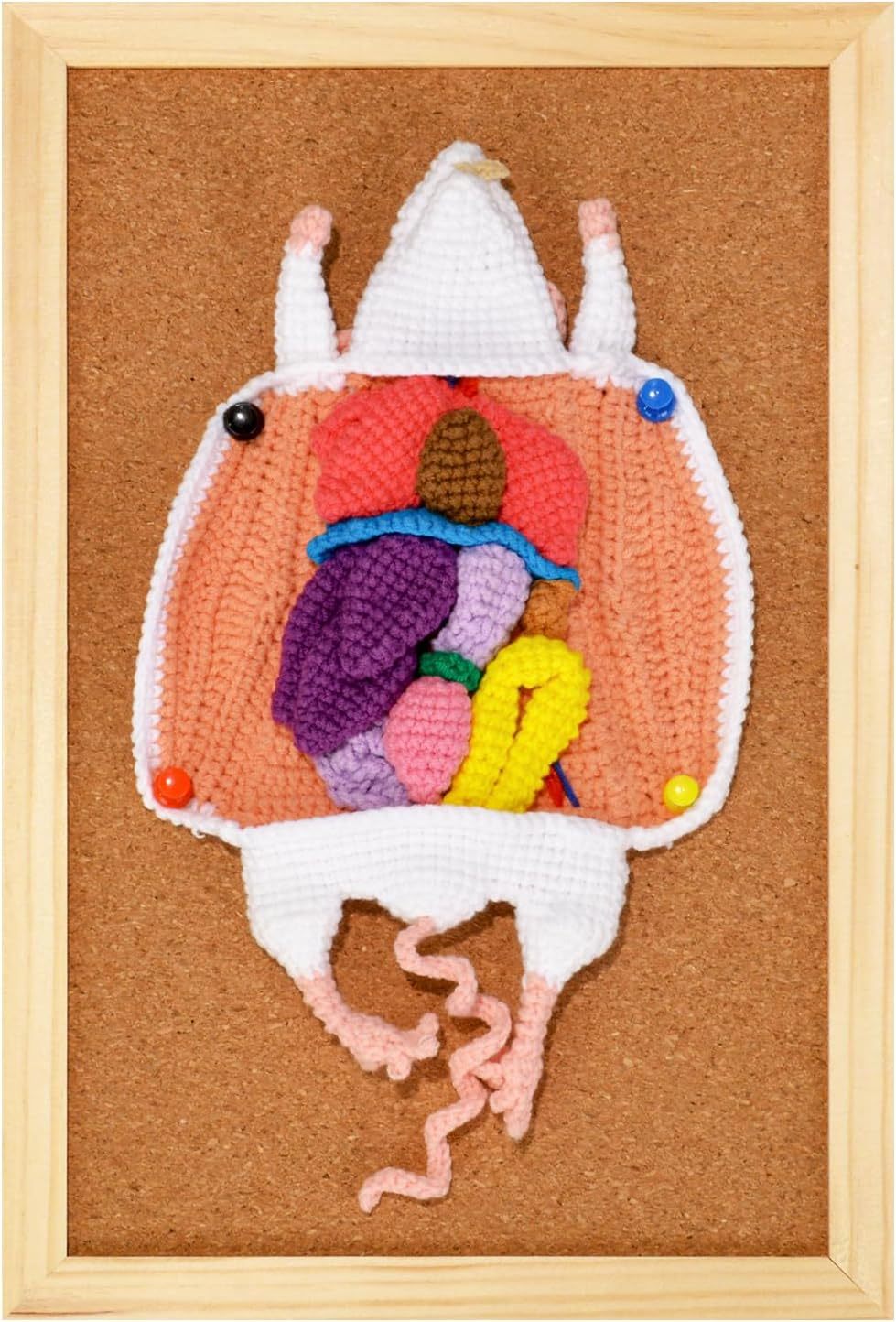 Child-Friendly Crochet Rat Anatomy Model For Kids Medical Education