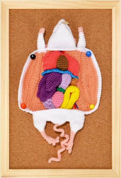 Child-Friendly Crochet Rat Anatomy Model For Kids Medical Education