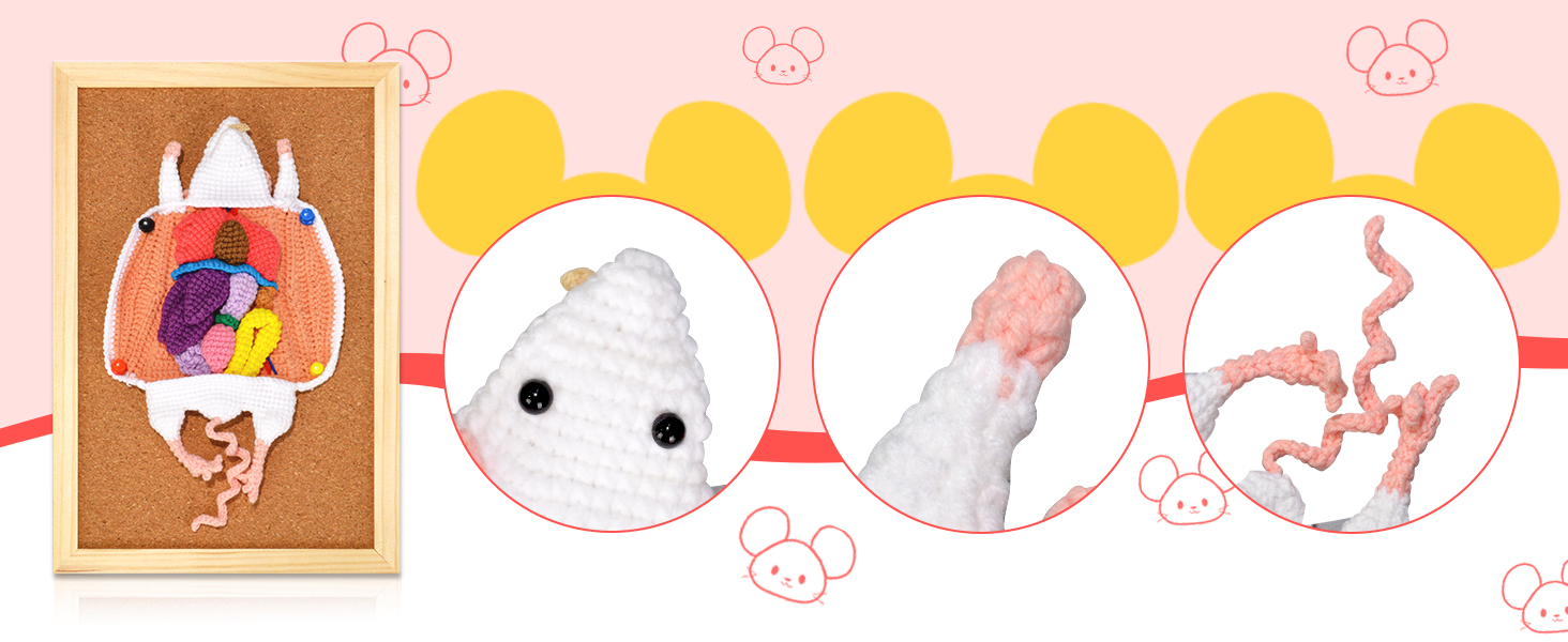 Educational Crochet Rat Model With Visible Anatomical Features