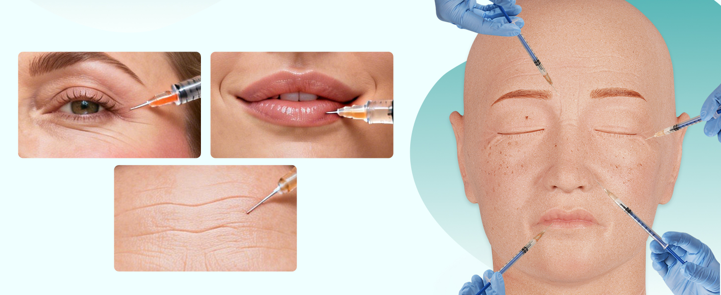 Injection Mannequin Head Injection Zones Diagram