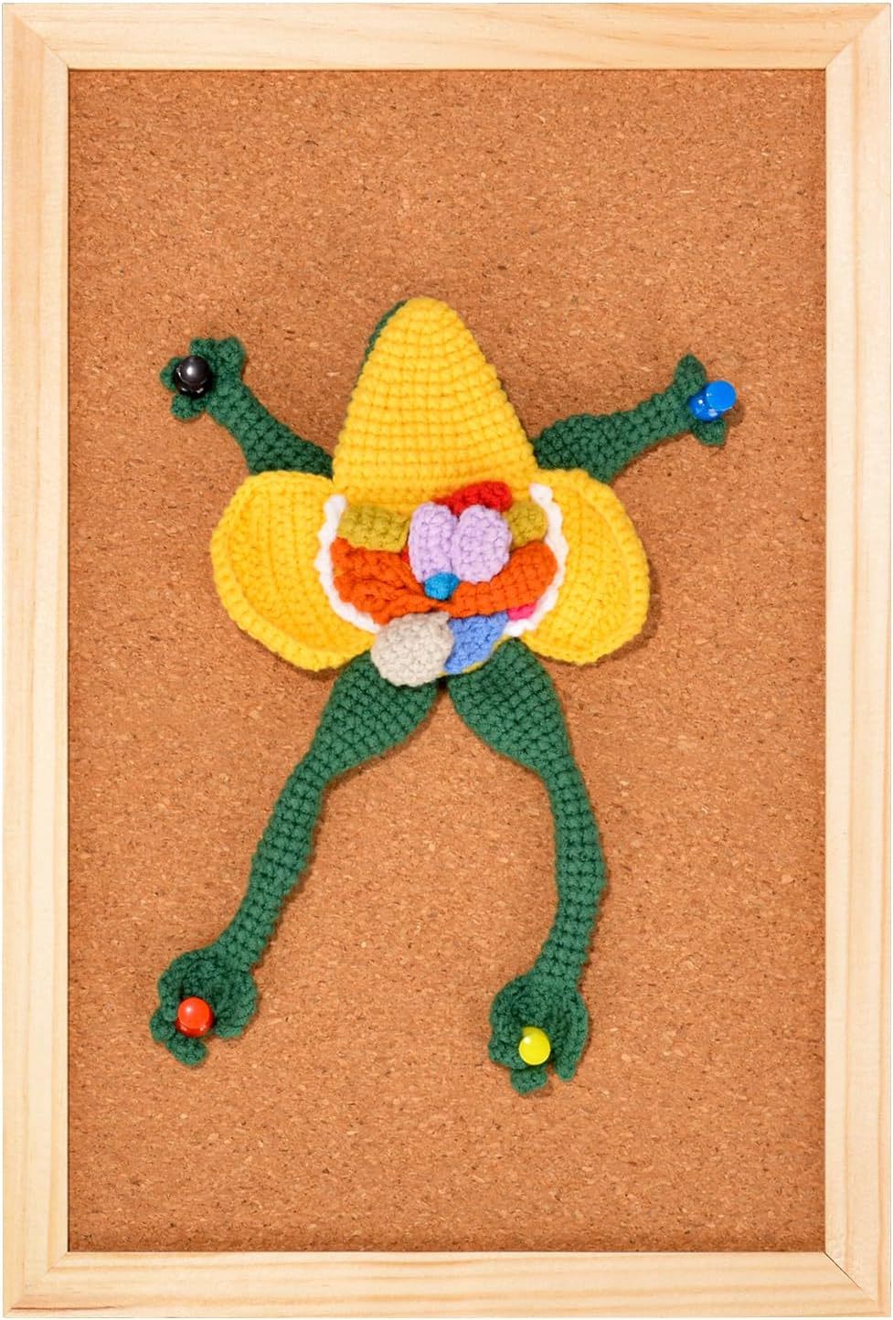 Hand Crocheted Anatomy Frog on Cork Board Display