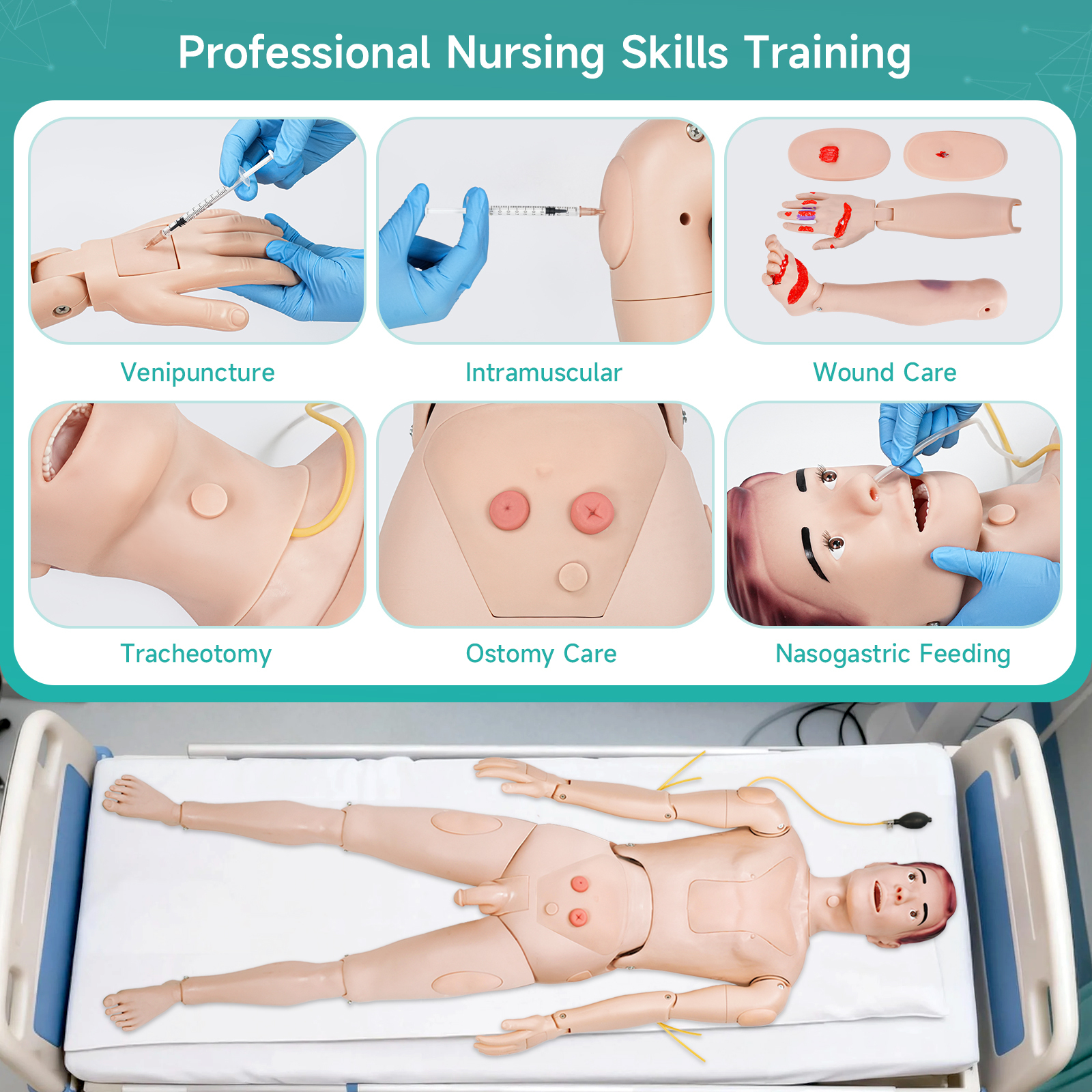 Skillssist Medical Training Mannequin Displaying Trainable Nursing Skills
