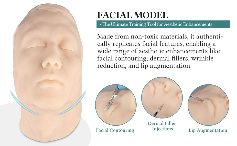 Male Facial Model for Injection, Cosmetic, and Aesthetic Training