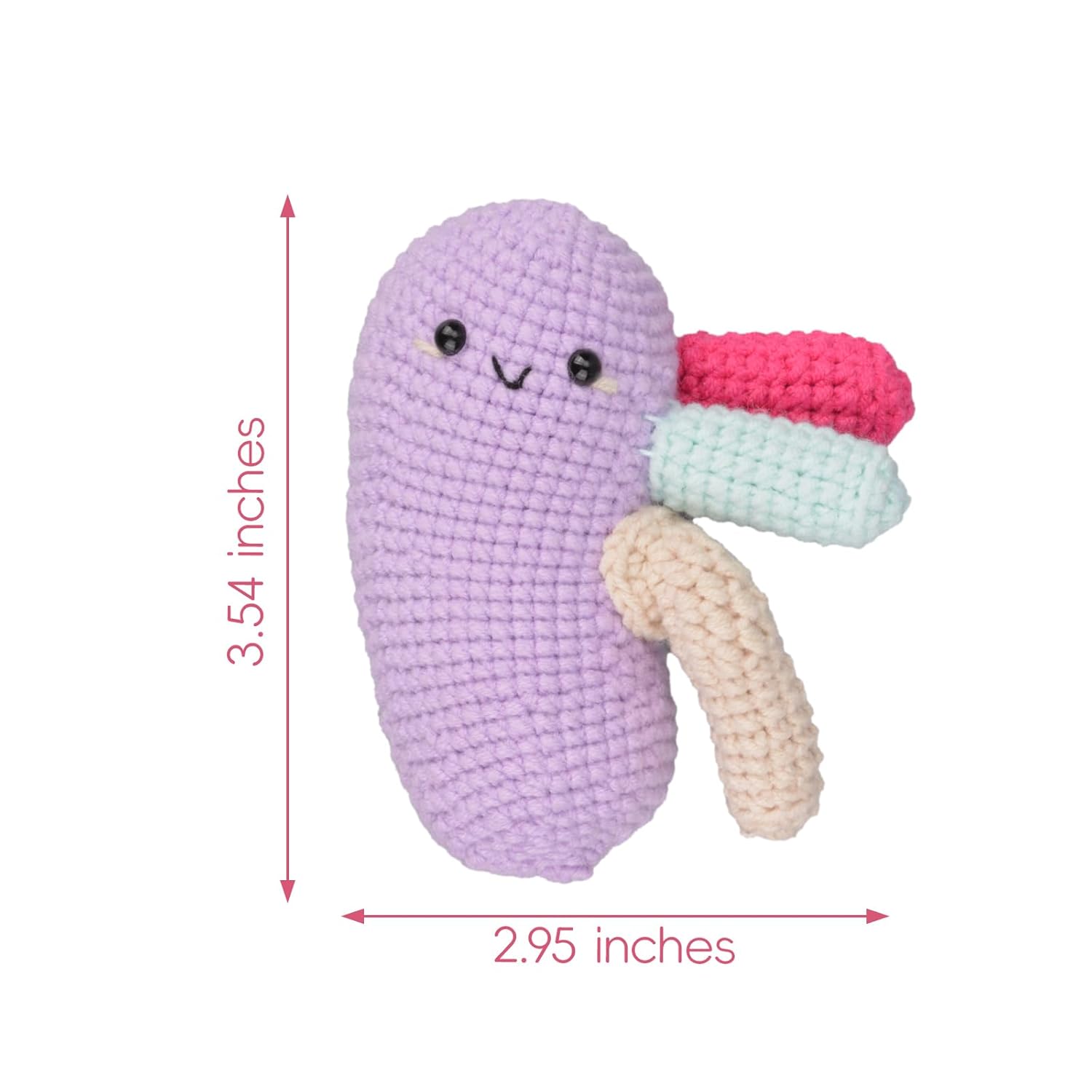 Small Crochet Anatomical Kidney Organ Plush Size Reference