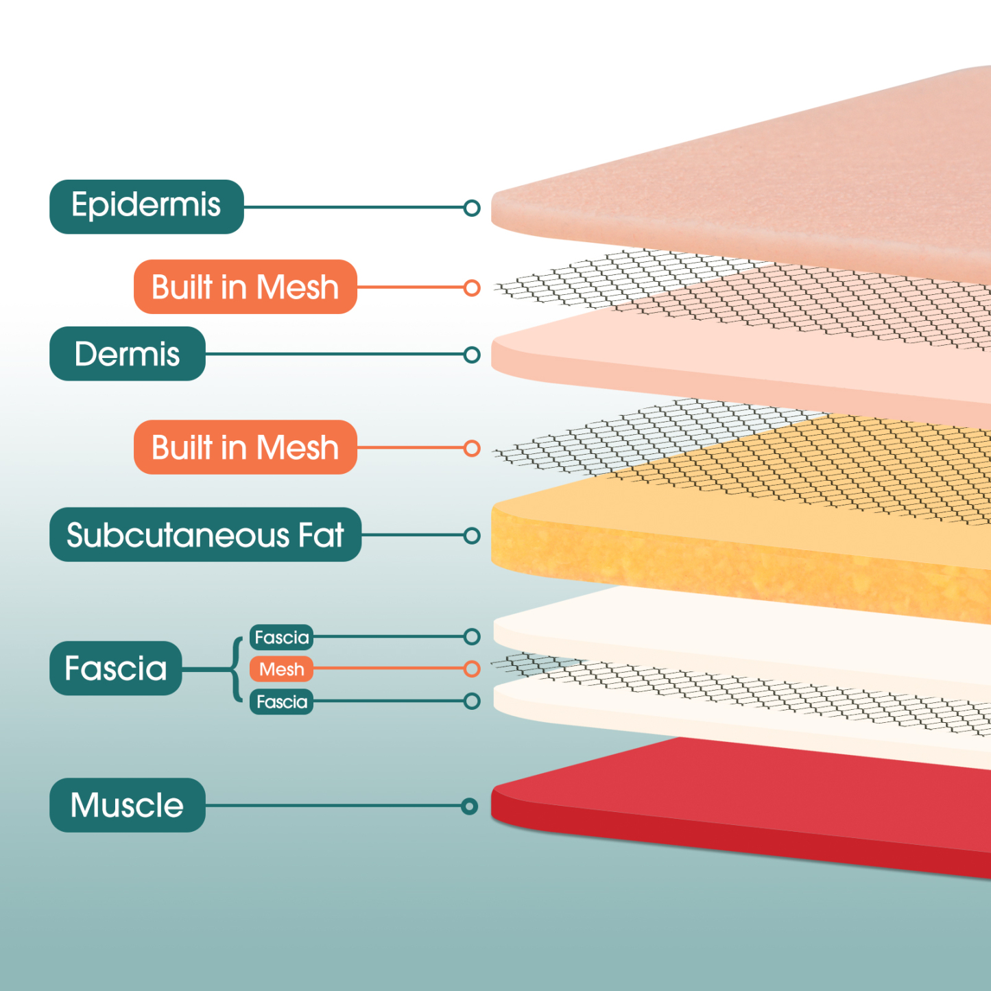 DIY Suture Pad with Sturdy 5 Layers and Tensioned Arch System