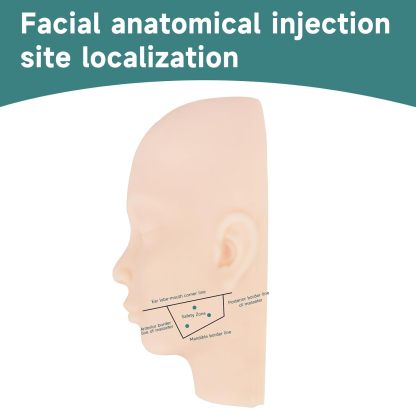 Facial Anatomical Injection Site Localization