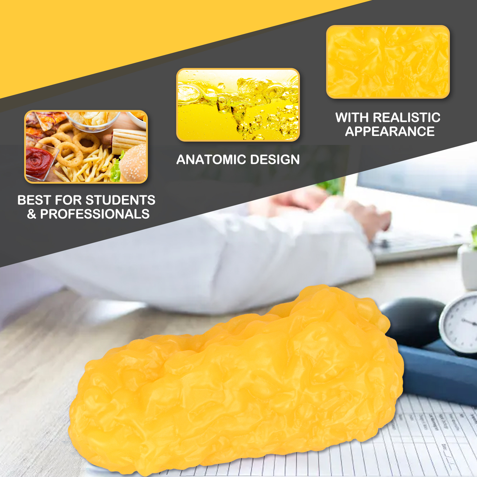 1LB Human Fat Replica Model