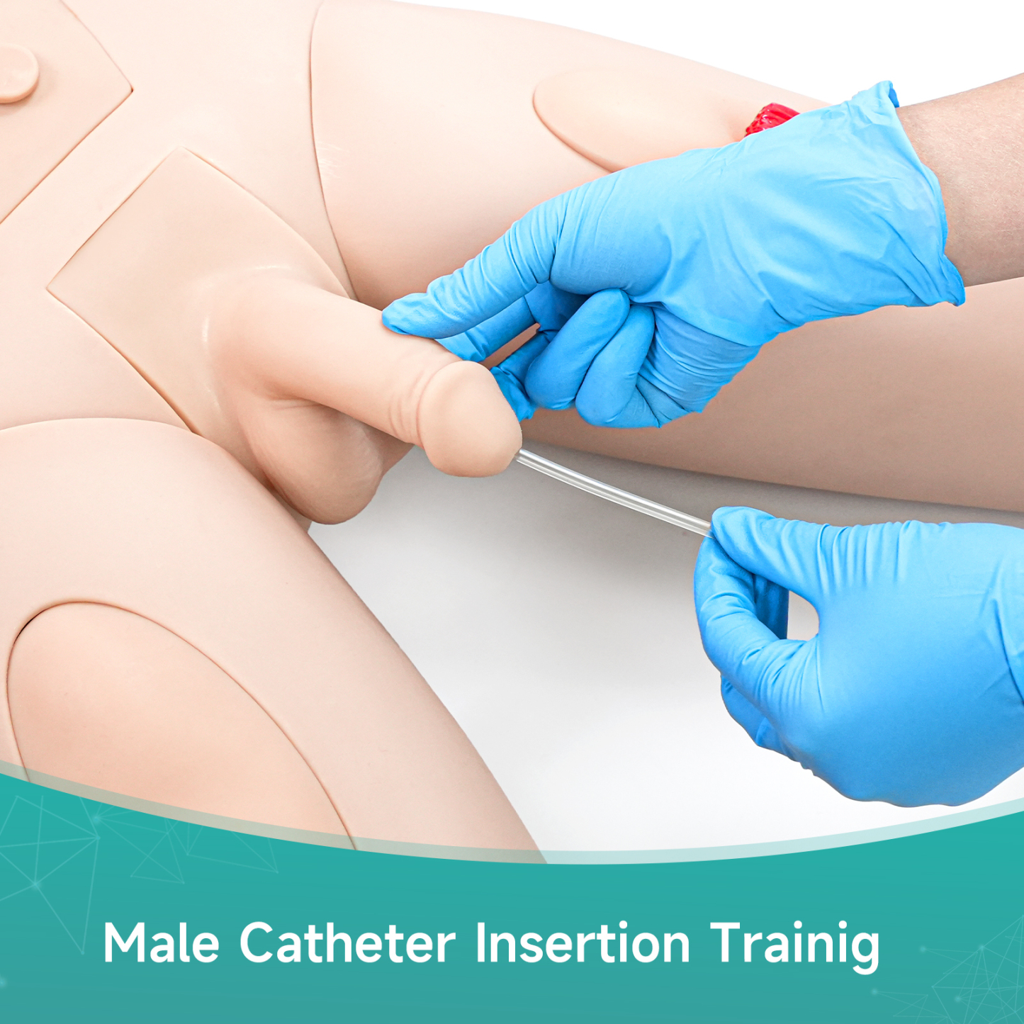 Male Catheterization Training on Medical Mannequin