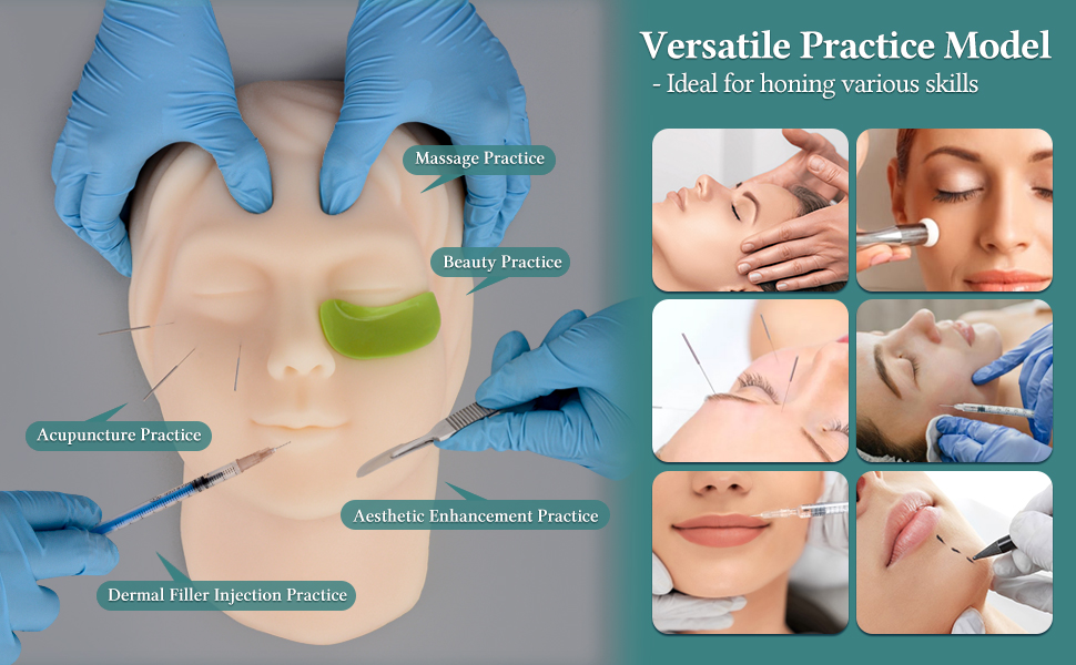 Versatile Face Practice Model