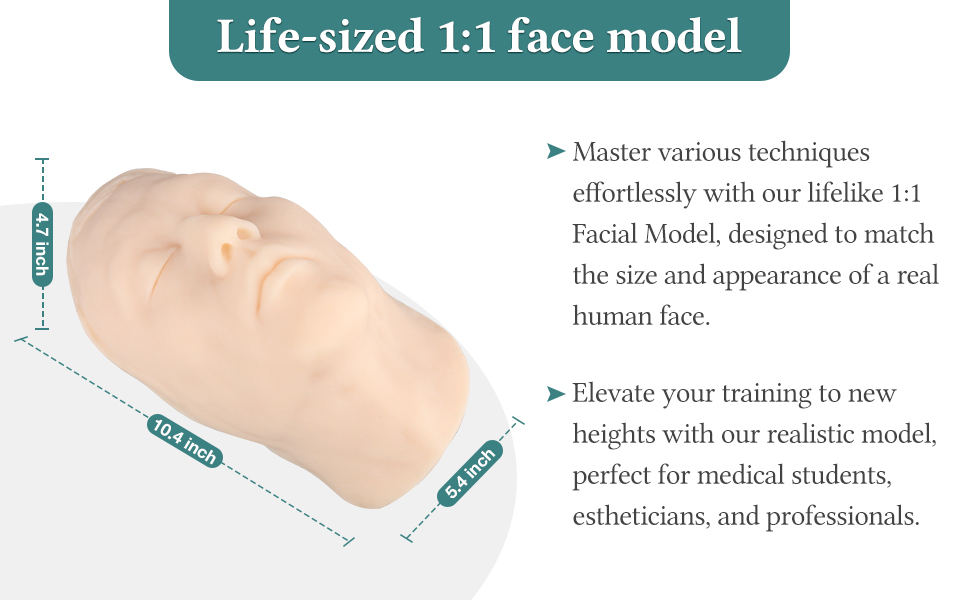 Life-Sized 1:1 Male Facial Injection Practice Model