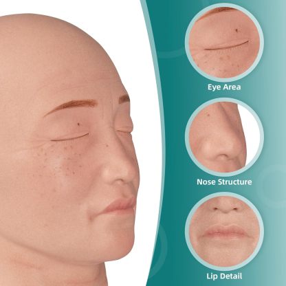 Facial Injection Mannequin Showing Anatomy Details