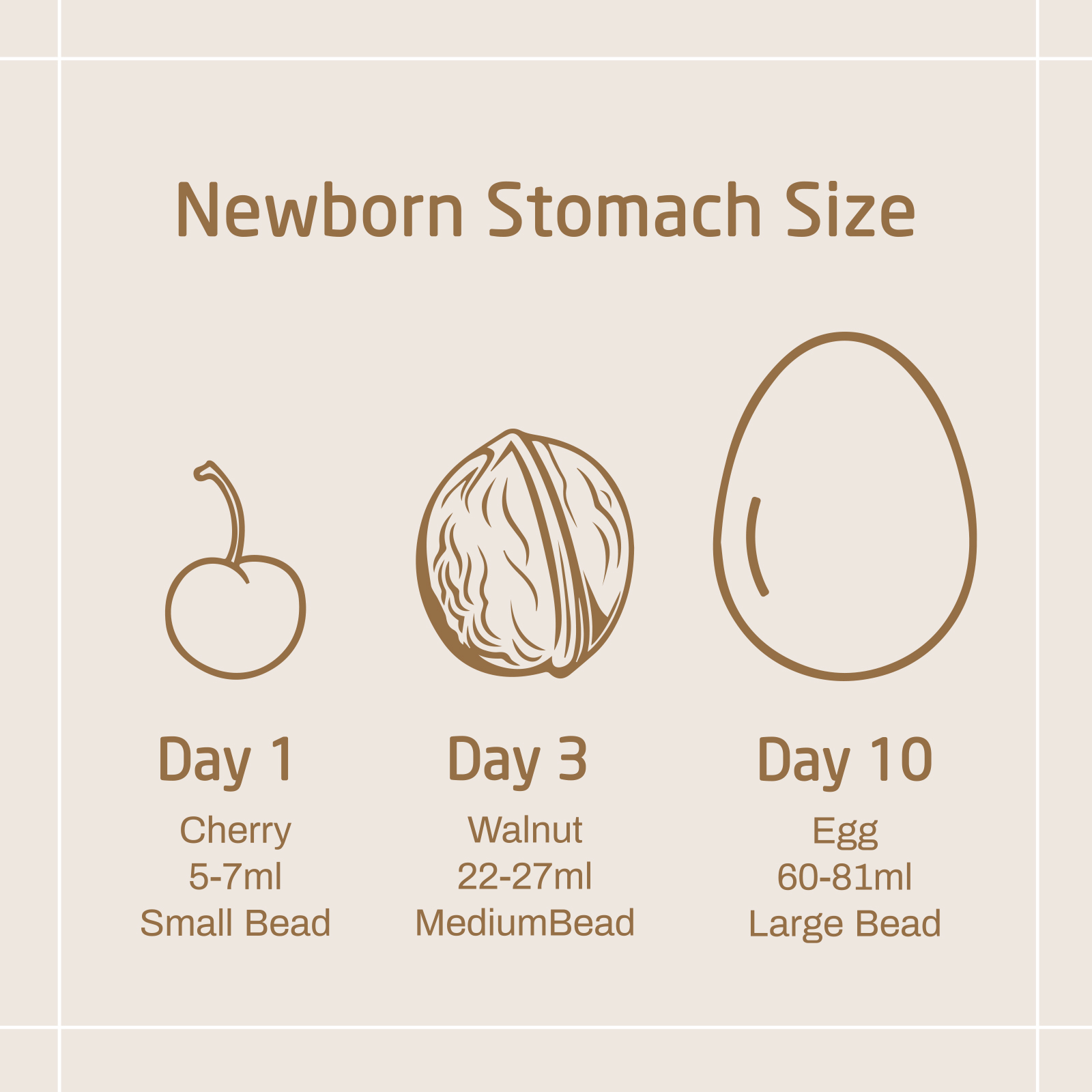 Baby Belly Beads, Visual Teaching Tool for Lactation Consultants, Newborn Baby Tummy Size Education