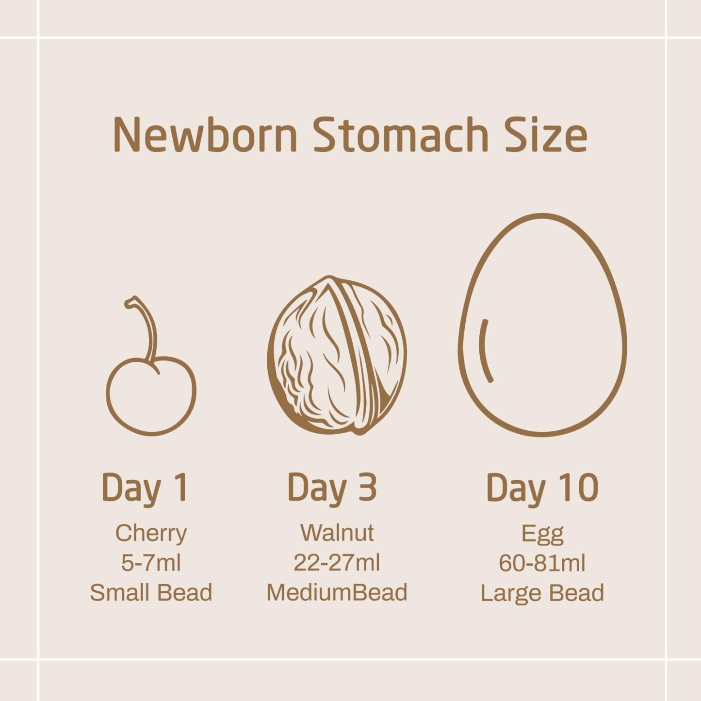 Baby Belly Beads, Visual Teaching Tool for Lactation Consultants, Newborn Baby Tummy Size Education